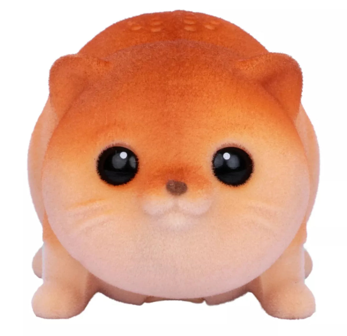 Little Live Pets NeeDees SPLASHEE OTTER Interactive Pet 50+Sounds