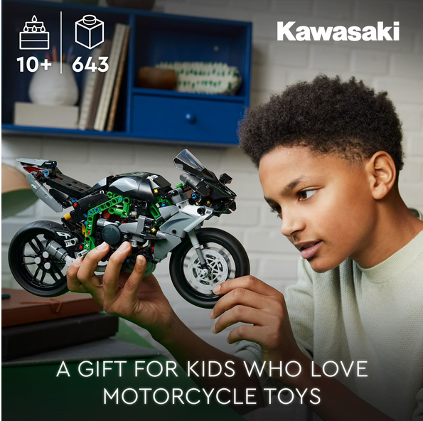 LEGO Technic42170 Kawasaki Ninja H2R Motorcycle Toy for Build and Display, Kid's Room Décor, Collectible Building Set for Boys and Girls Ages 10 and Up, Scale Model Kit for Independent Play